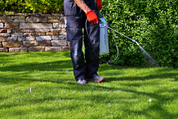 Indoor Pest Control in Ford Heights, IL